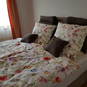 Zentrumsnah Apartment